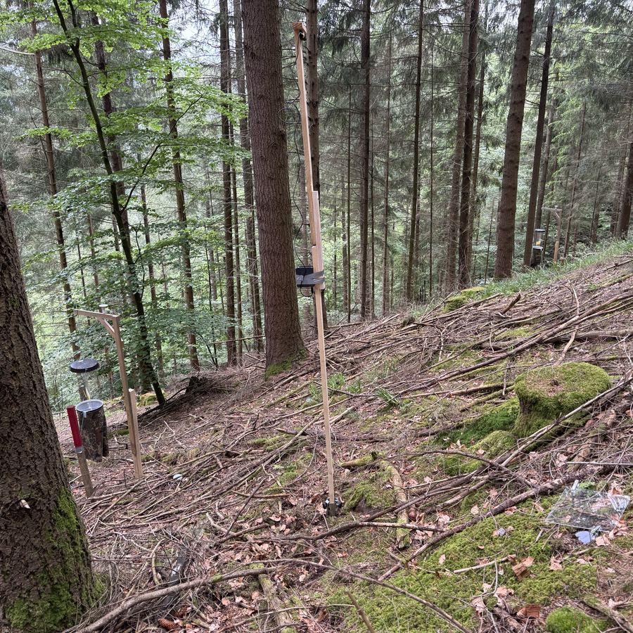 Fledermaus-Horchbox und Bodenfallen im Wald