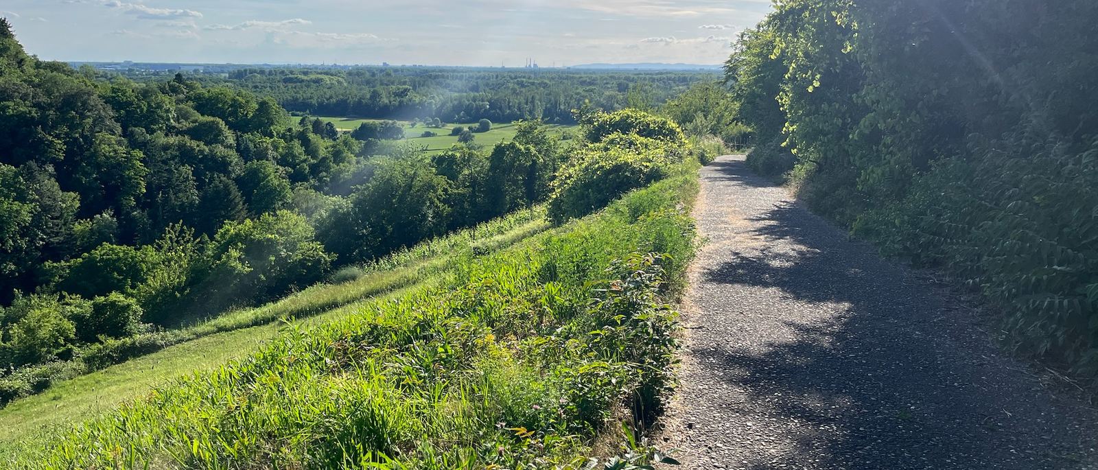 Weg am Waldrand mit Blick über eine weite Landschaft